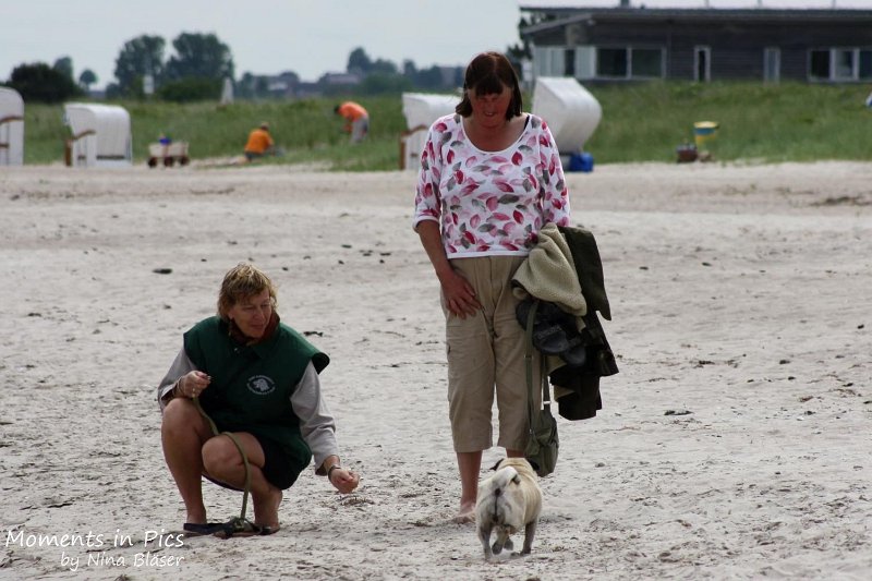 2010-06-26 Arc-en-ciel Arlequin (56).jpg